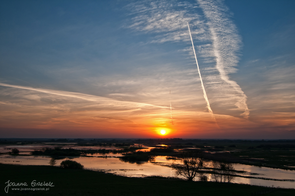 052_Biebrza - kwiecien 2012.jpg